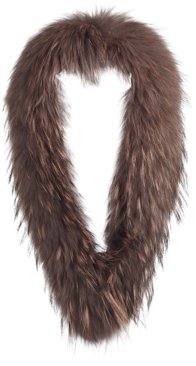 Klara Collar Sopp