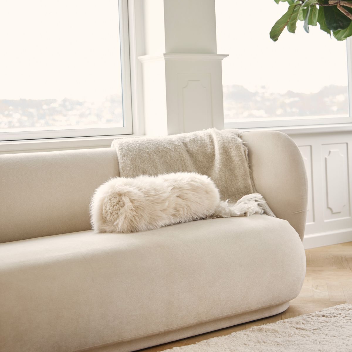 Bolsterpute | Langhåret, korthåret | New Zealand | Ø20xL52 cm Svart / Svart