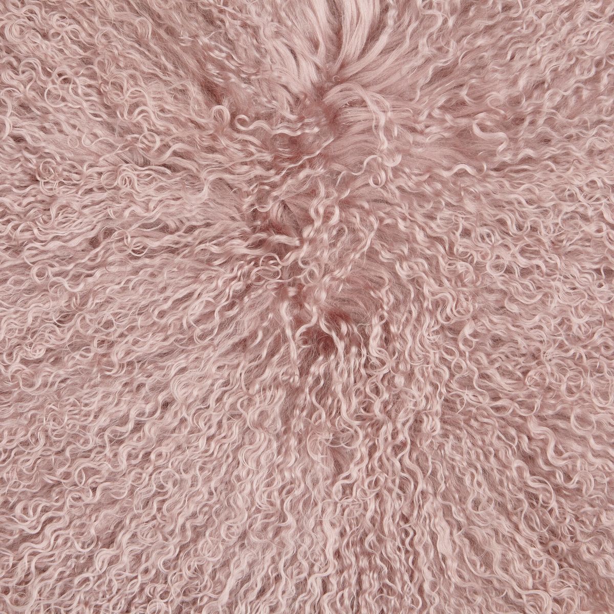 Gyngestolsetepute | Tibet Rosa