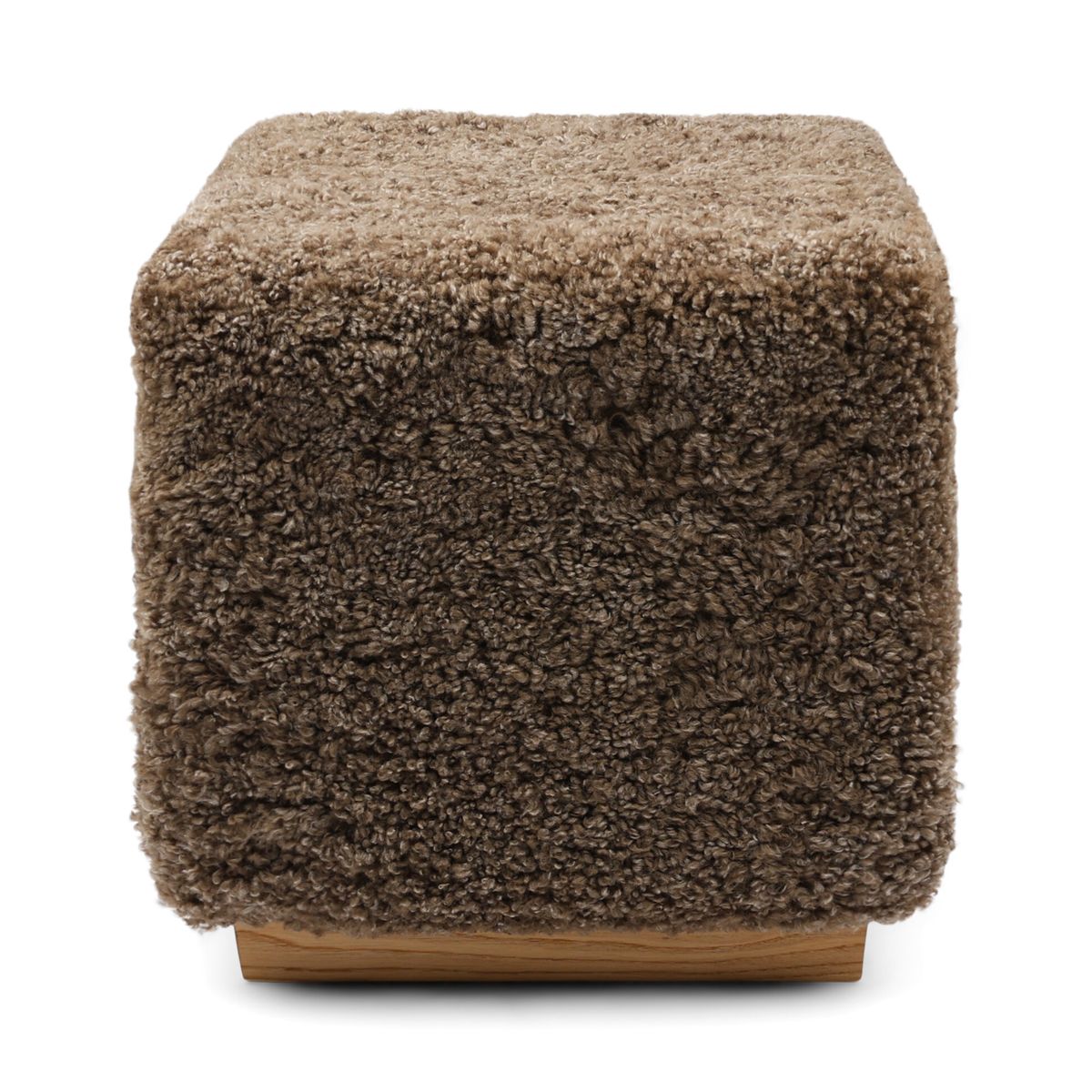 Benjamin skammel Lysebrun