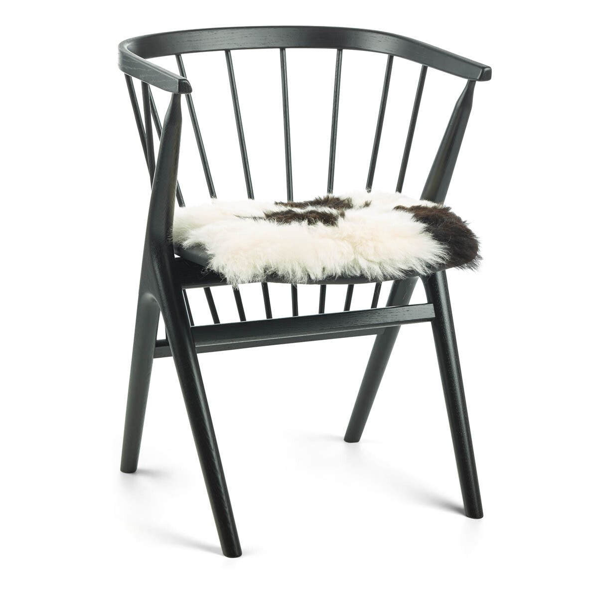 Setepute | Korthåret | Island | 40x40 cm Flekkete