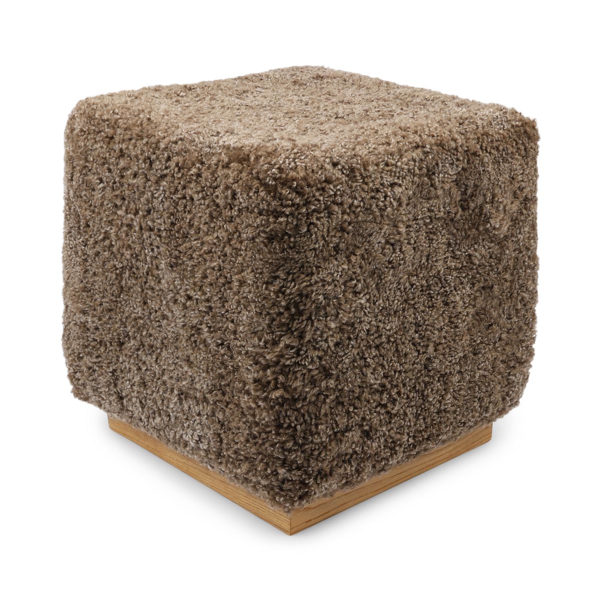 Benjamin skammel Lysebrun