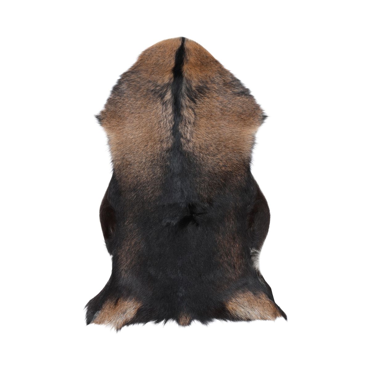 Geiteskinn | Tibet | 90x60 cm Svart / Brun