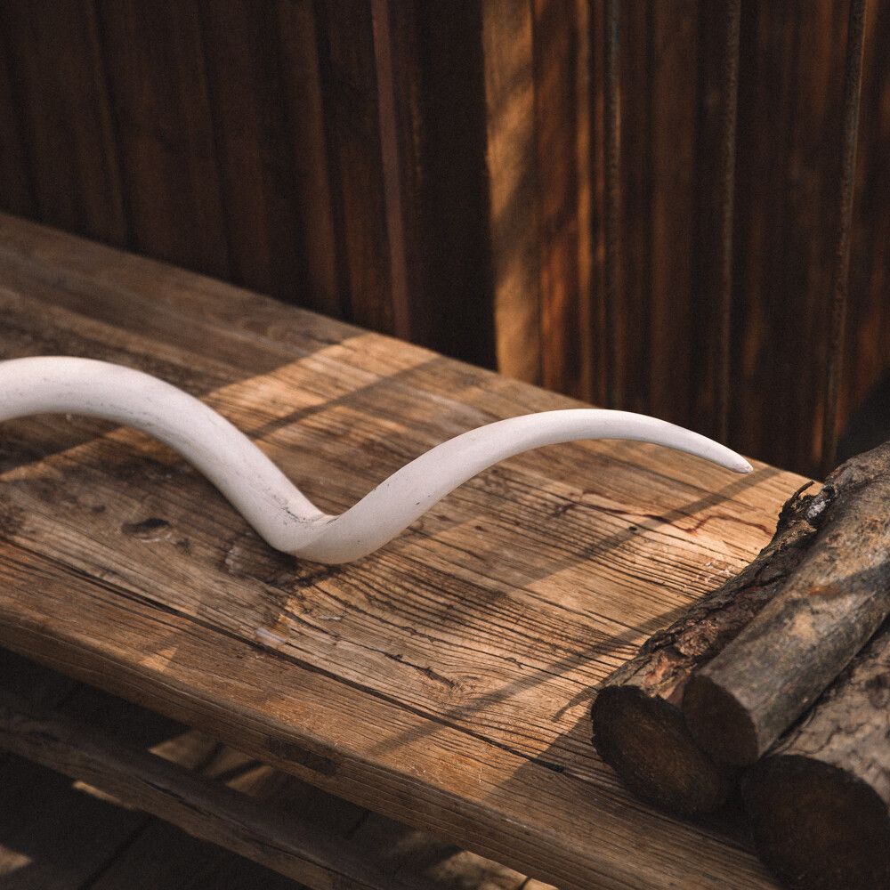 Kudukuhorn | Sørafrika