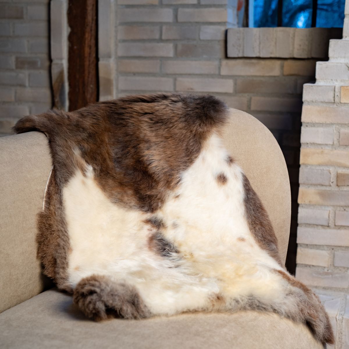 Saueskinn | Korthåret | Himalaya | 95x60 cm Mørkflekket