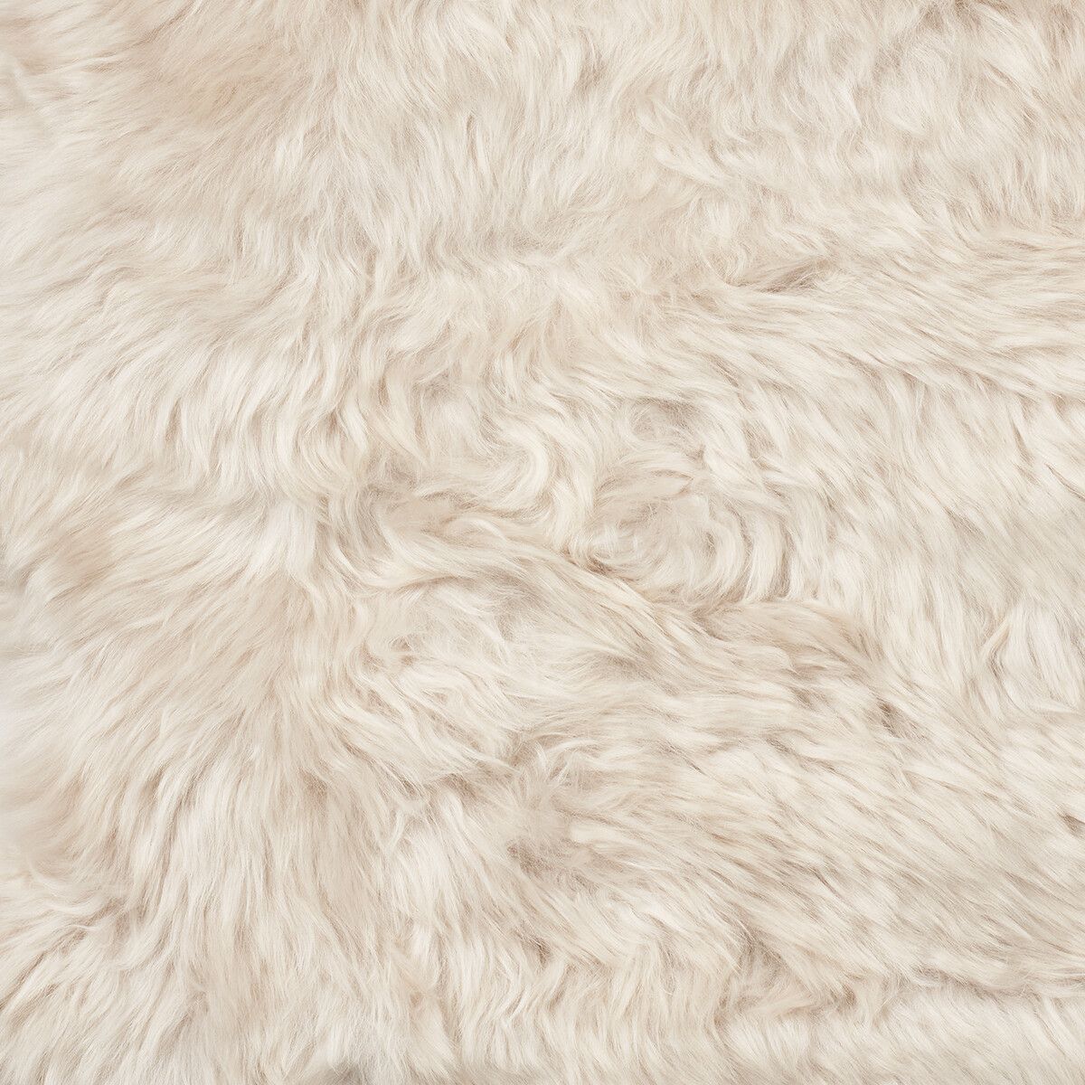 Lina Loungestol | Saueskinn | New Zealand | Langhåret Beige