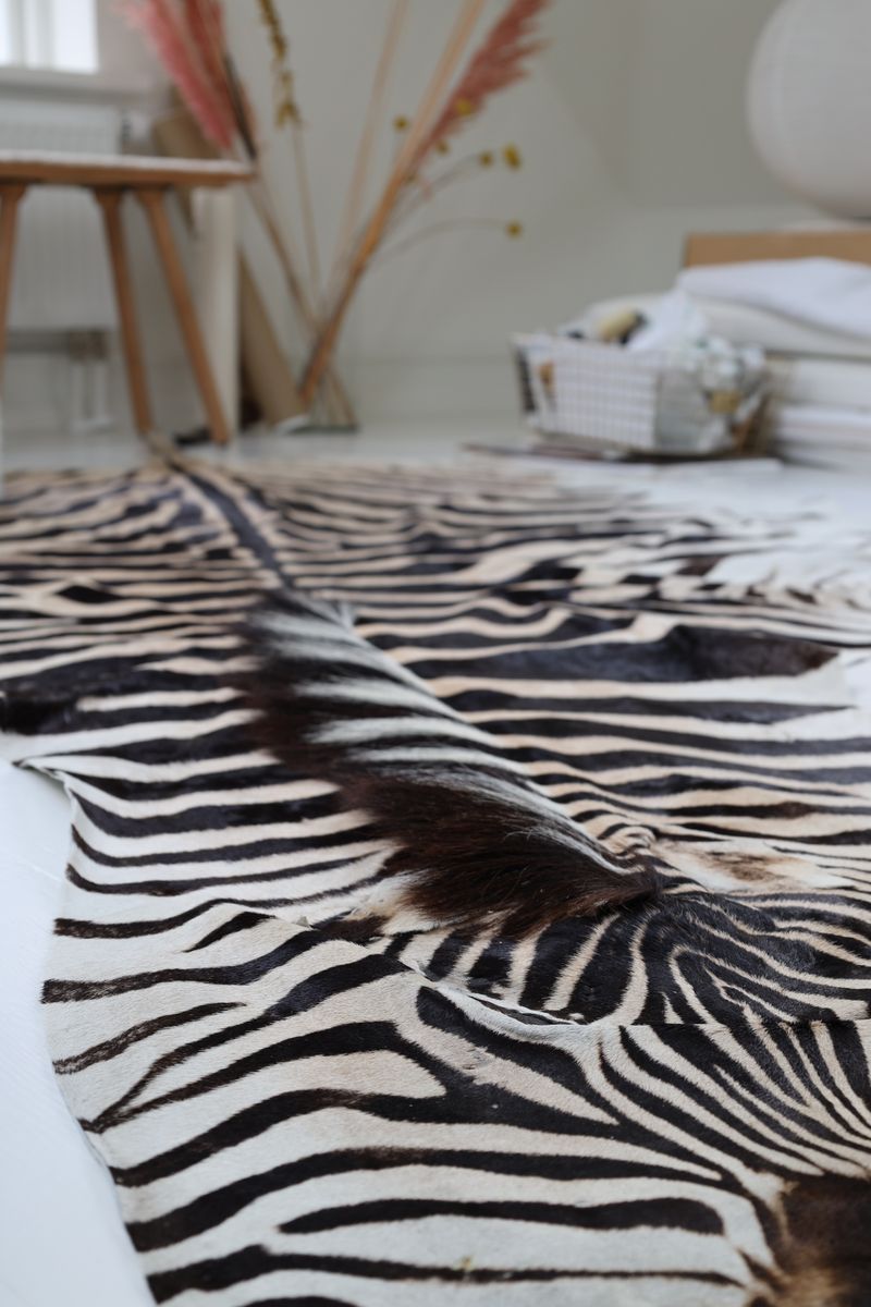 Sebraskinn | Sørafrika Zebra
