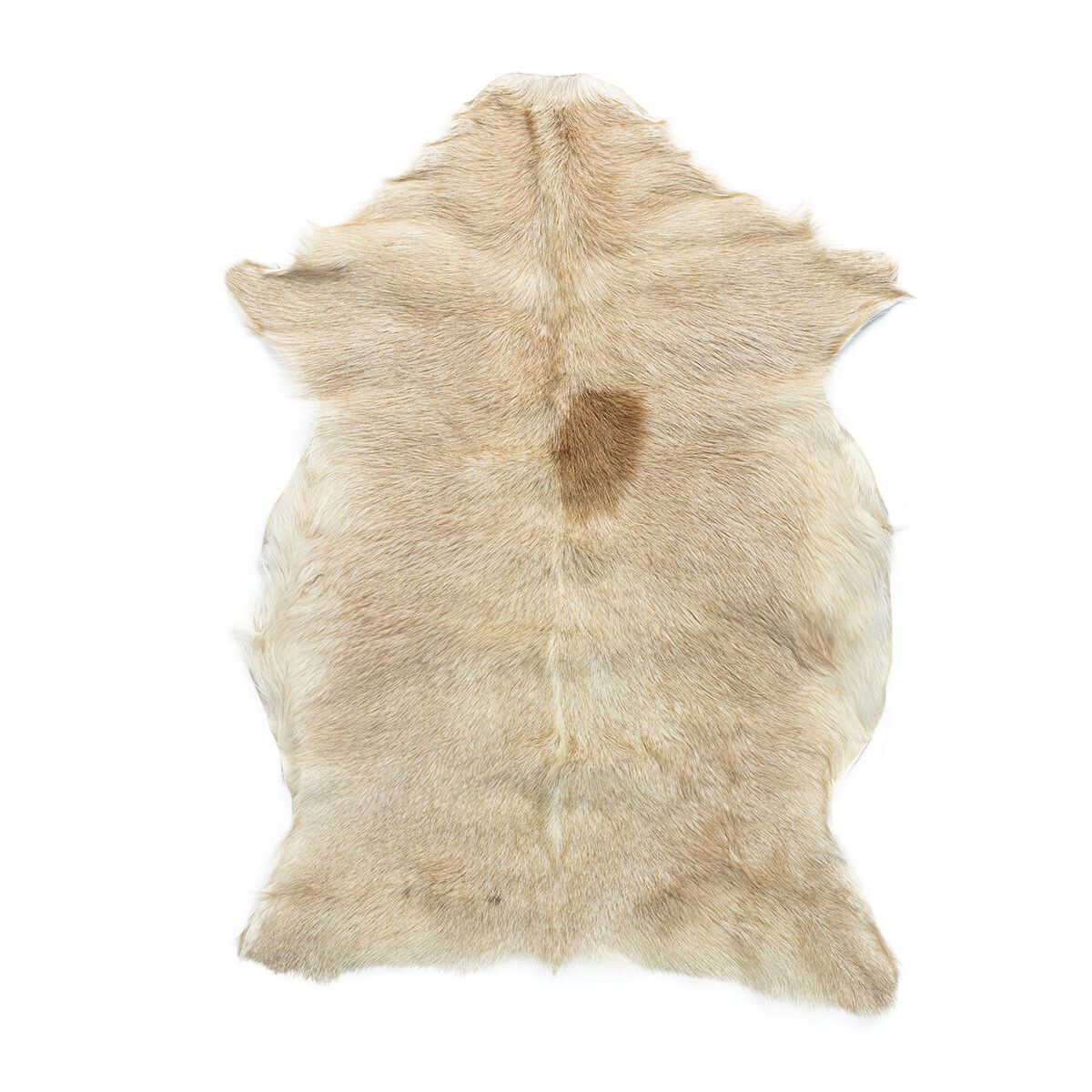 Geiteskinn | Tibet | 90x60 cm Naturlig lys