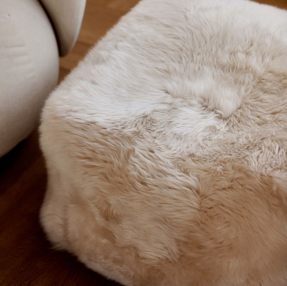 Puff | Langhåret | New Zealand | Lærbakside Svart