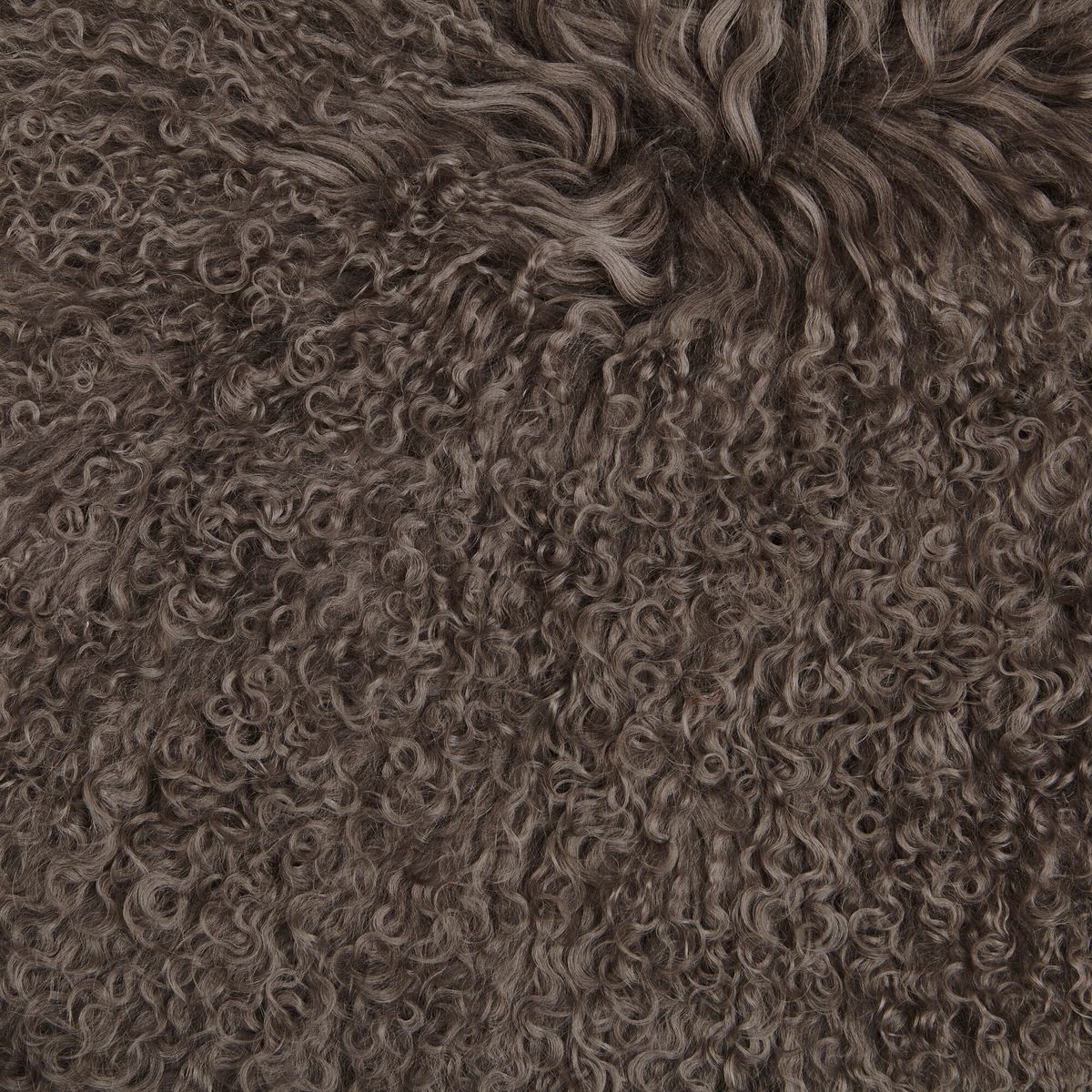 Gyngestolsetepute | Tibet Lysebrun