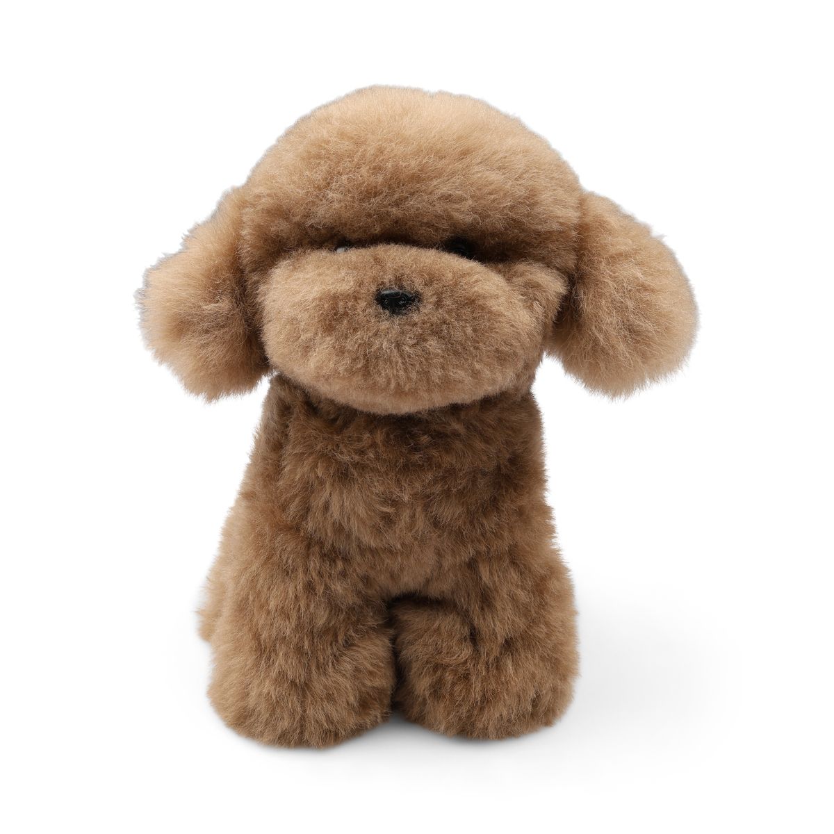 Teddybjoørn valp | Islandsk saueskinn Brun