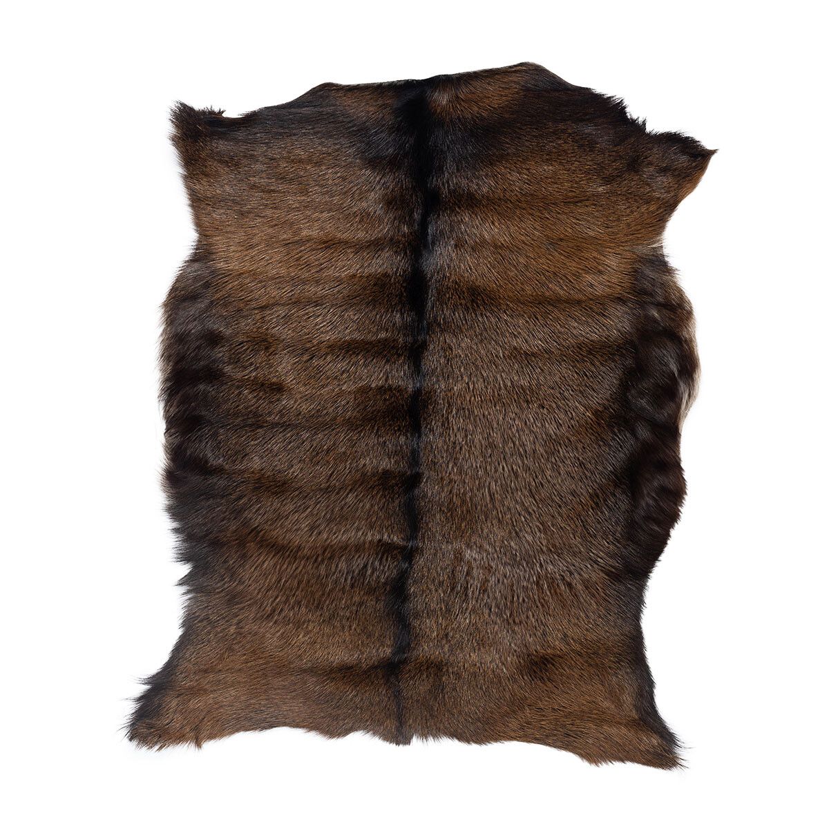 Geiteskinn | Tibet | 90x60 cm Svart / Brun
