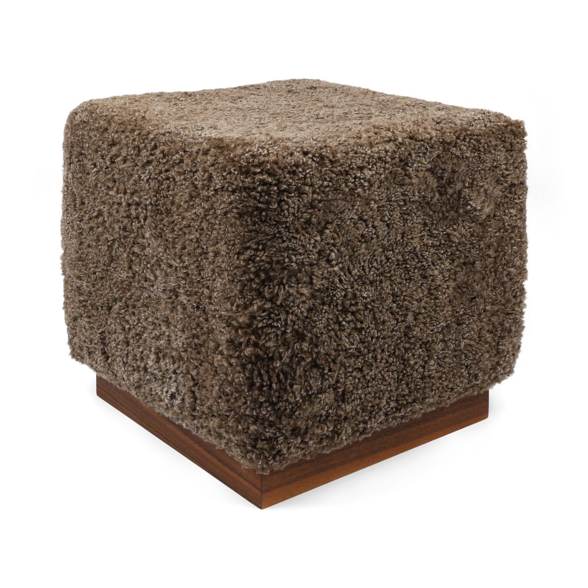 Benjamin skammel Lysebrun