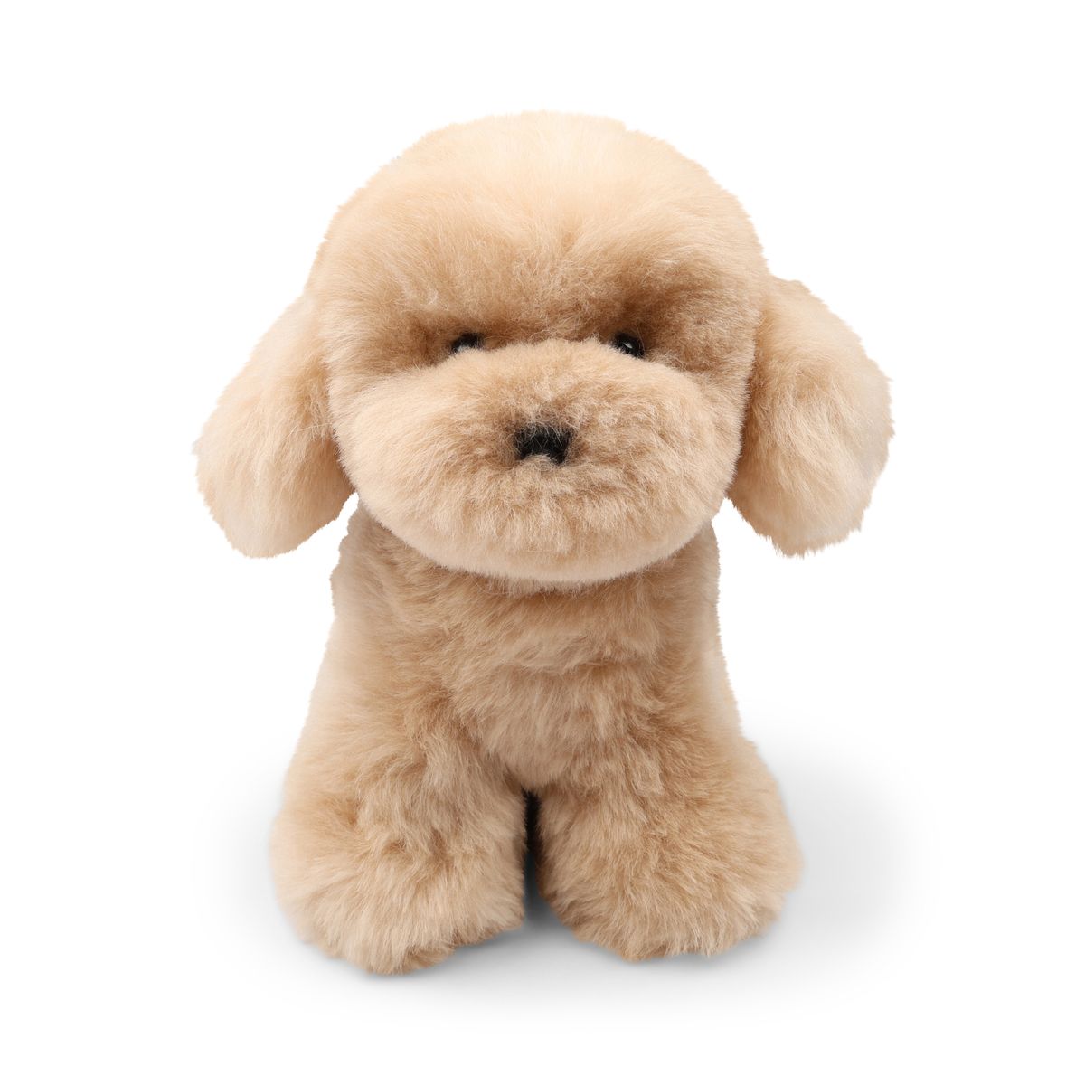 Teddybjoørn valp | Islandsk saueskinn Beige