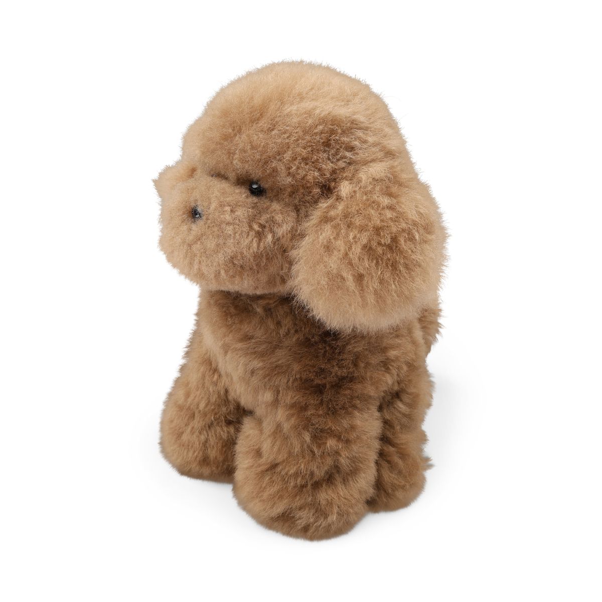 Teddybjoørn valp | Islandsk saueskinn Brun